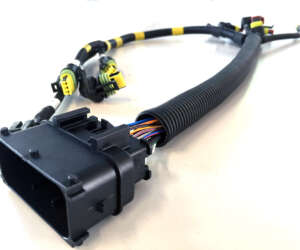 Powertrain Wiring Harness Powertrain Wiring Harness